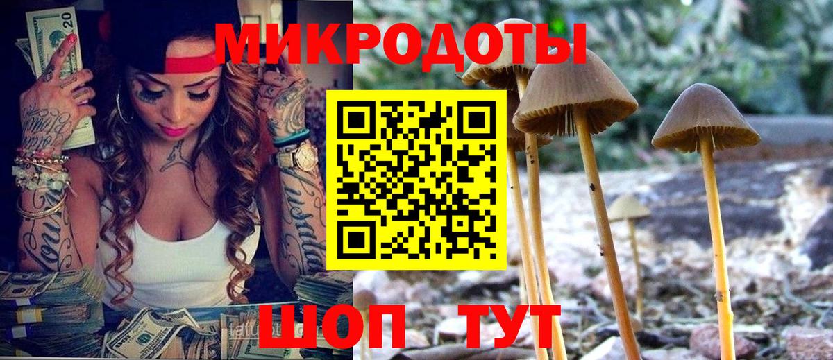 где купить наркоту  Вход с VPN  Вязники  Псилоцибиновые грибы Psilocybe 