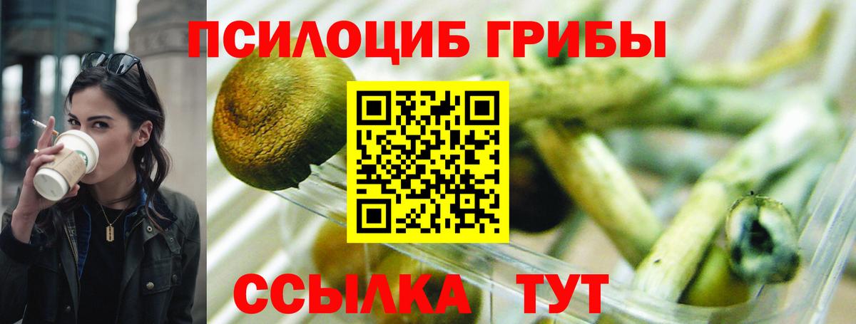 Псилоцибиновые грибы GOLDEN TEACHER Вязники